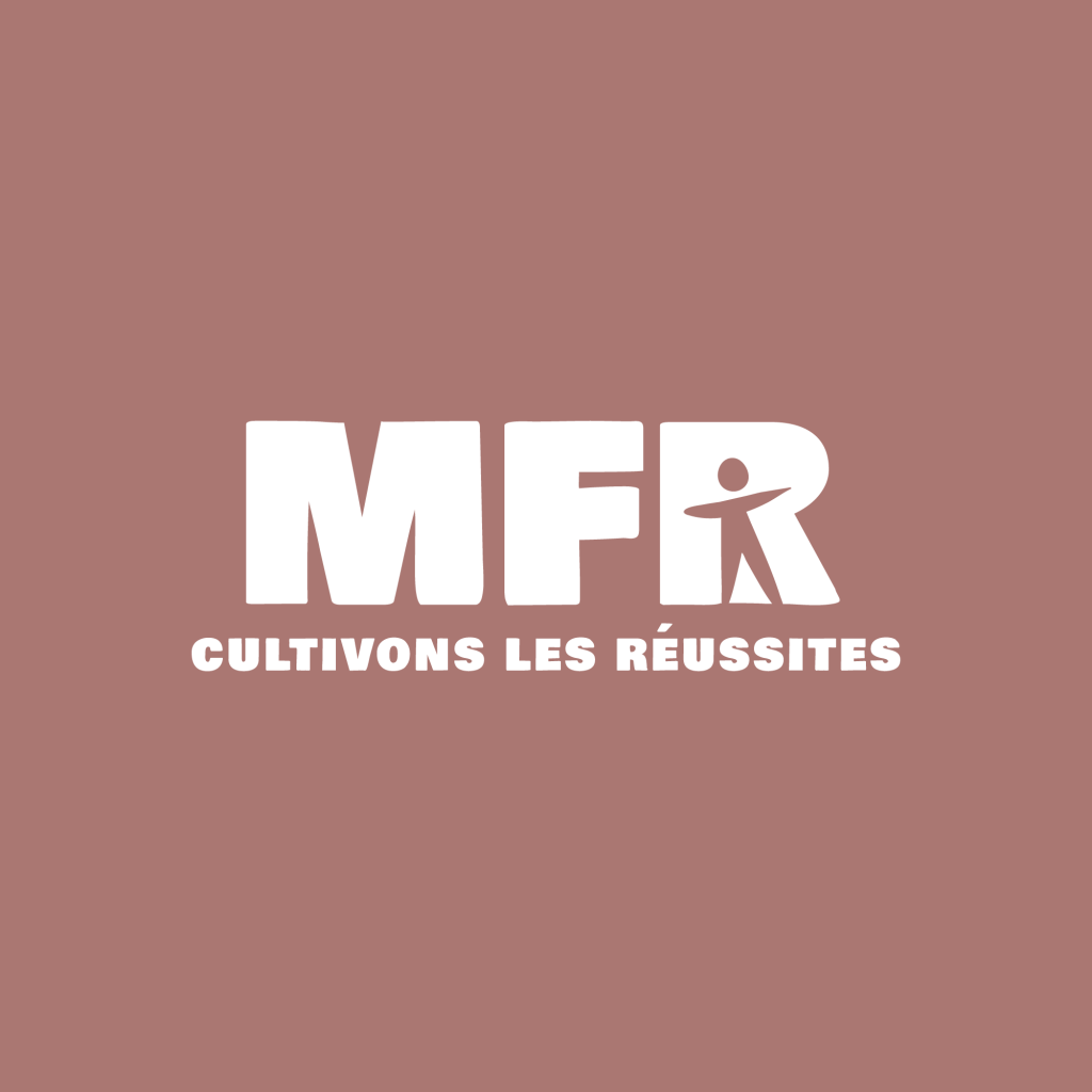 1 mfr mockups