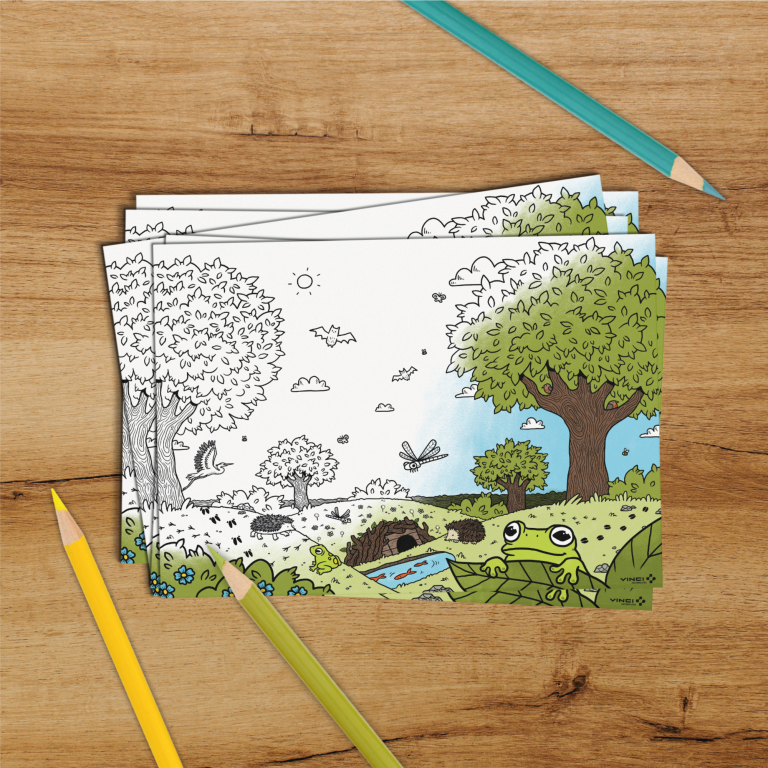 3 coloriage mockup
