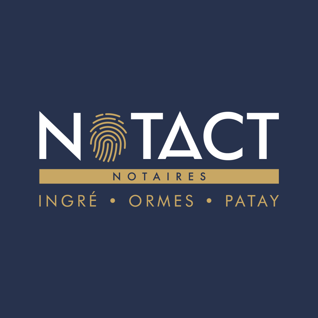 logo mockup insta