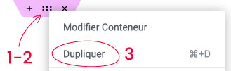 dupliquer section existante def